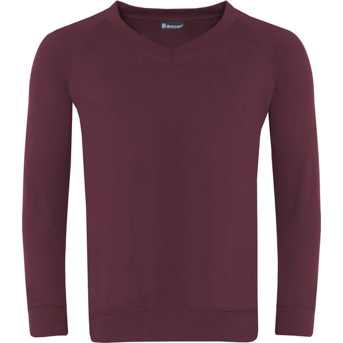 Banner V-Neck Sweatshirt