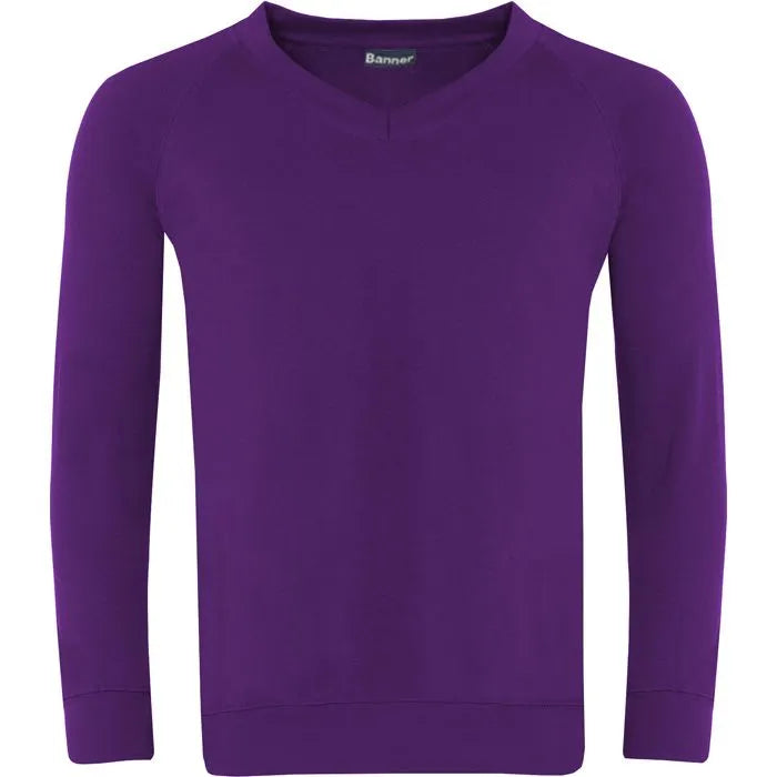 Banner V-Neck Sweatshirt